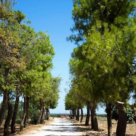 לינה וארוחת בוקר סליצ'ה סלנטינו Masseria San Paolo מראה חיצוני תמונה